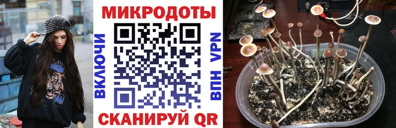 гидра сайт  Апшеронск  Псилоцибиновые грибы GOLDEN TEACHER 